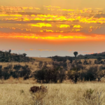 Viaggio solidale in Kenya!